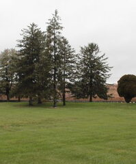 Wreaths-across-america-at-Finns-Point-Cemetery-1-of-105-101select-312x375