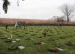 Wreaths-across-america-at-Finns-Point-Cemetery-1-of-105-47-select-110x80