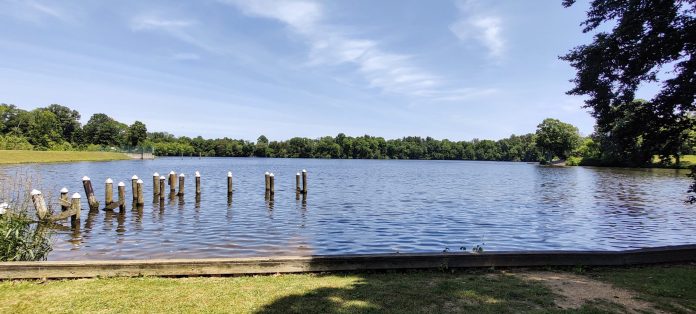 View of Alloway Lake in Alloway, NJ part of the Lakes of Salem County series