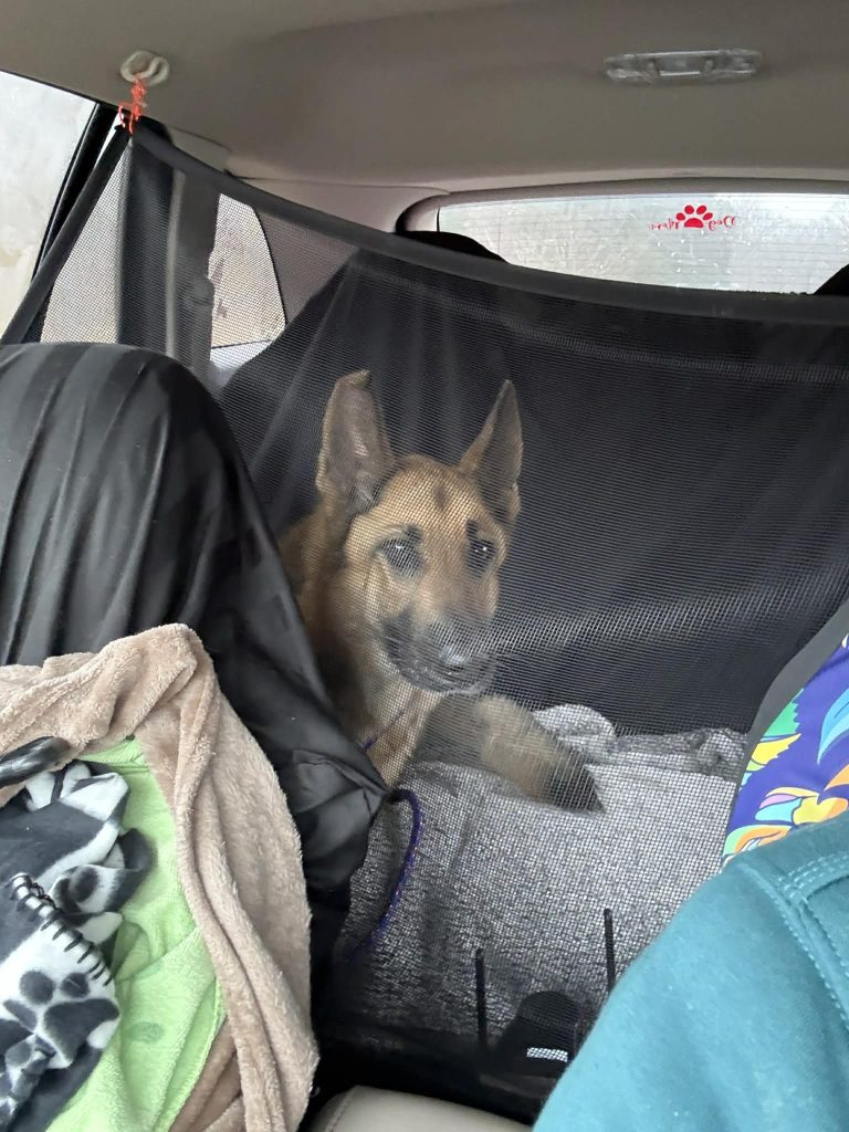 After being saved, Winter goes for a ride in Cindi's backseat