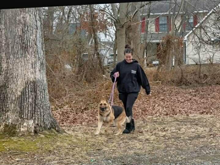Winter with new owners that Strong had found herself, just like the majority of the dogs she saves.