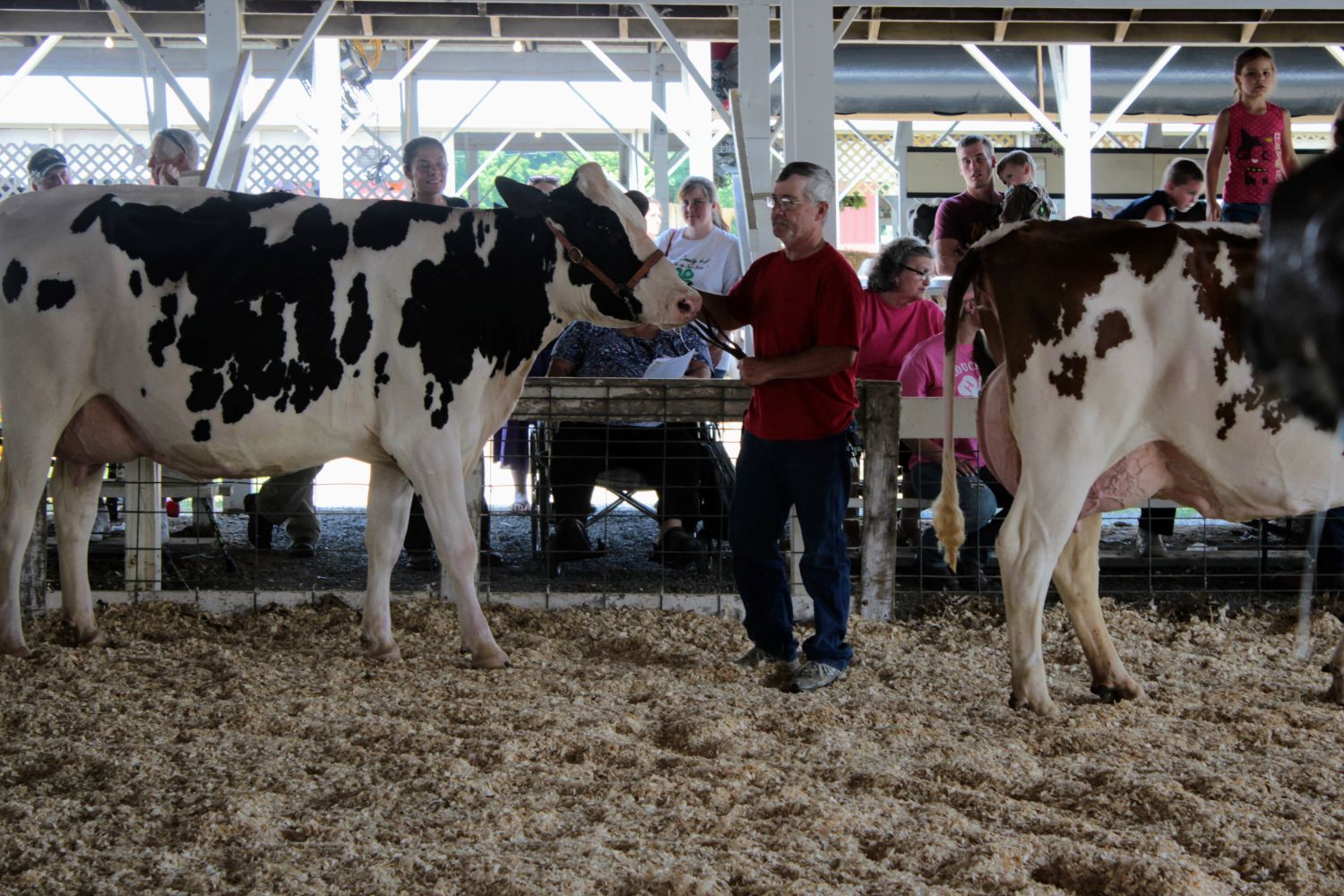 Salem County Fair