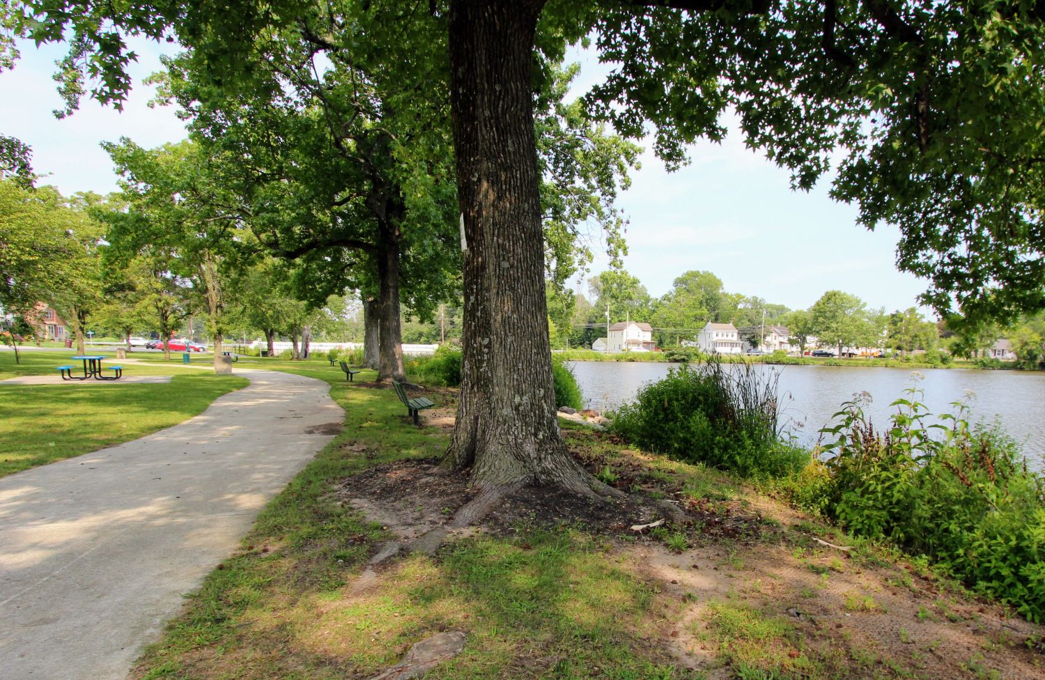 Looking west along Ashbrooke Ave side of the lake